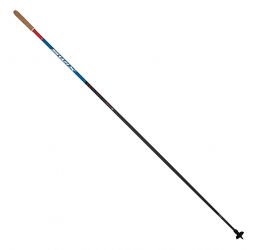 Swix Quantum 2 Pole Kit w/Free Straps