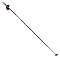 Swix Dynamic 1 D1 Poles