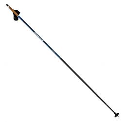 Swix Dynamic D2 Poles