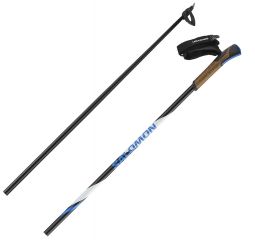 Salomon R 60 Click Poles