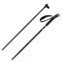 Salomon Escape Composite Poles