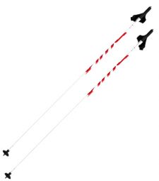 Swix Q6 Quantum 6 poles
