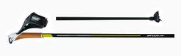 Swix Quantum 5 Pole TBS w/Profit Strap