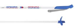 Swix Snow Path Jr Poles