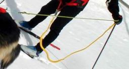 Skijoring Bungee Line for One Dog